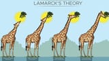 Thread 5014896 OP Image