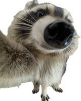 1000074485