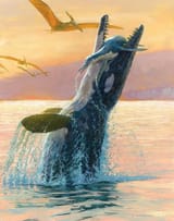 Gvl4ao9WQAA690i