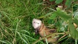 IMG_20140731_180808774