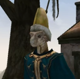8866 11 44 AM - 07-12-2025 Colovian_Fur_Hat_at_Morrowind_Nexus_-_Mods_and_com