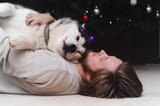 dog-hug