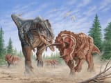 t-rex-vs-triceratops-s1