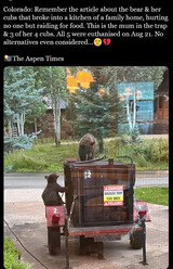 muh bears