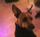 IMG_3491