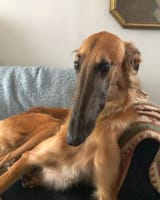 1750610966703730