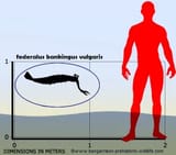 superpredator