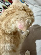 IMG_1908