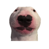 1746999095307919