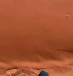 Thread 5016334 OP Image