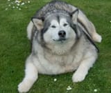 _106595412_heather.jpg