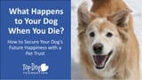 Pet-Trust-Website_Jan-2019-1