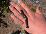 IMG_20250526_104954_081