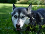 25-07-03-DSCF0632