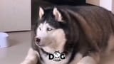 maxresdefault (1)