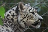 IMG_6844-SP1-1