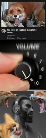 1646395648489