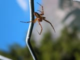 IMG_20250717_144156_413