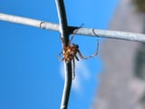 IMG_20250717_144141_425