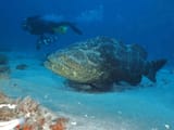 655532599-huge-scaled