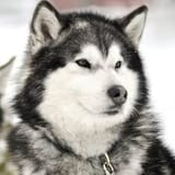 images (3)