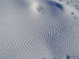Beaver_tail_print_on_snow