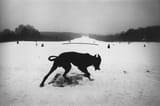 Joseph Koudelka - Parc de Sceaux, Hauts-de-Seine