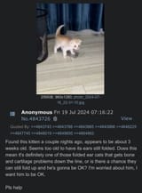 Thread 5018575 OP Image