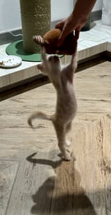 IMG_2076