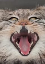 gjfhjgfjfg