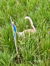 IMG_2091