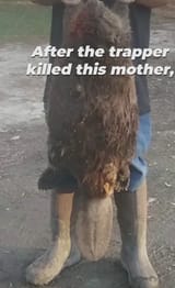 Thread 5018723 OP Image