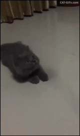1479238713176