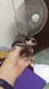 1452868722706_thumb.jpg