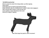 Schläfchenpinscher