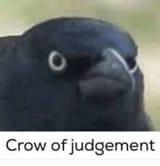 1708331387446410