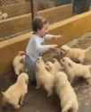 you died puppies_thumb.jpg