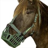 bane_with_a_mane