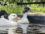 IMG_20250526_141244064_HDR