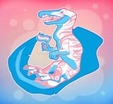 trans rights
