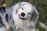 she&#039;s smiling
