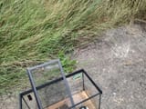 rat free