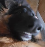 20230211_073355