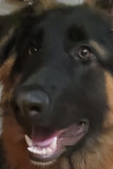 20221230_184214
