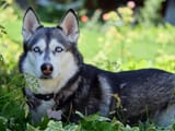 25-07-16-DSCF0939