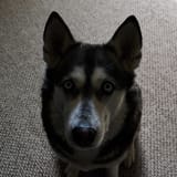 25-07-13-DSC_2211