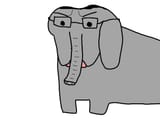 incelephant