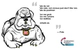 Norf Dog