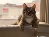 IMG_2057