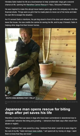 Japanese man sells Ferrari to fund shelter for dogs
